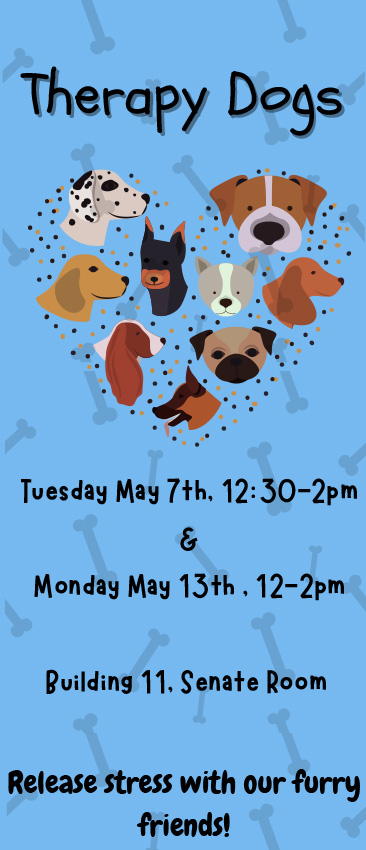 Therapy Dogs in the Building 11 Senate Room, May 7, 12:30 -2 and May 13, 12 -2