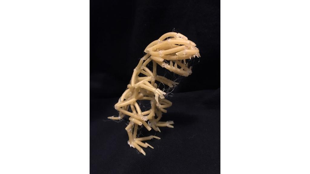 Dinosaur skeleton made of pasta pieces