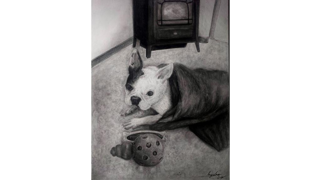 Portrait of a dog laying in front of a fireplace