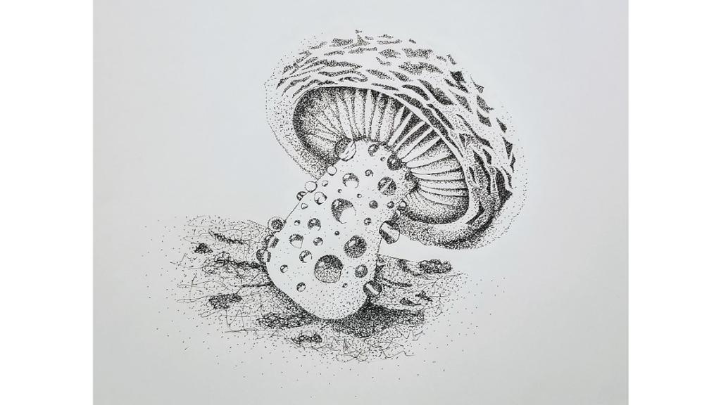 Detailed drawing of a dewey mushroom