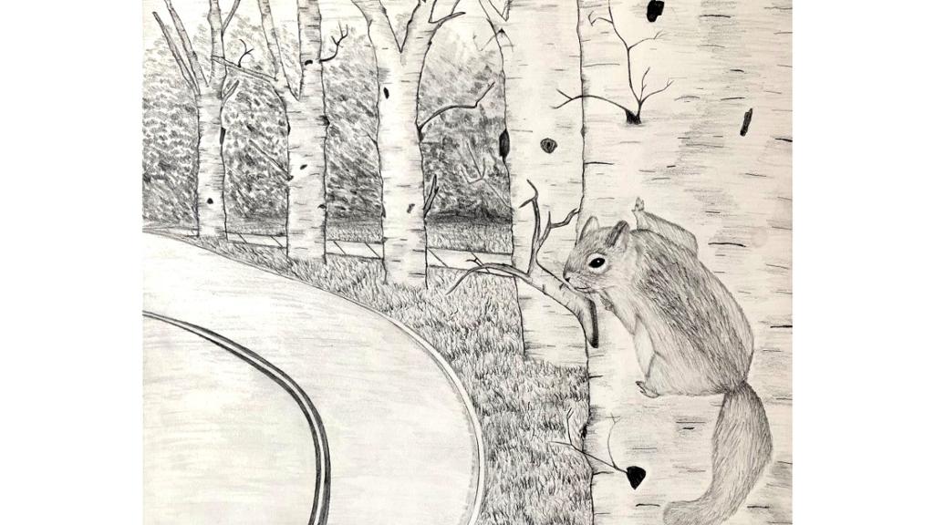 Squirrel on birch tree