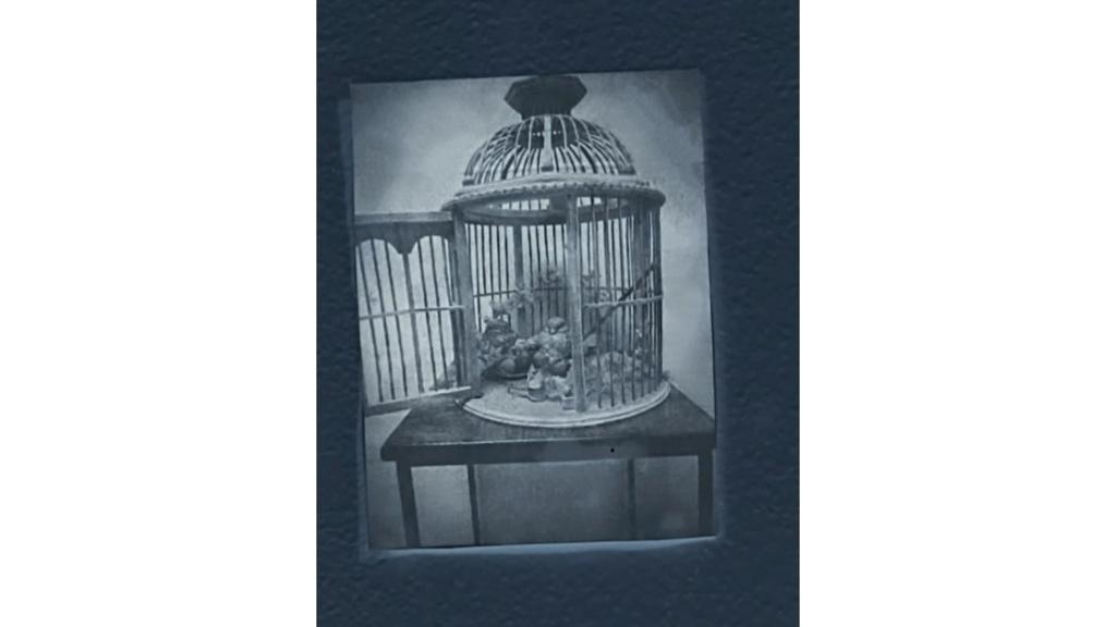 Black and white photo of a bird cage