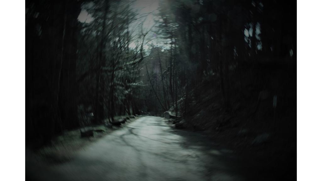 Forest road with motion blur