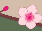 graphic of cherry blossom