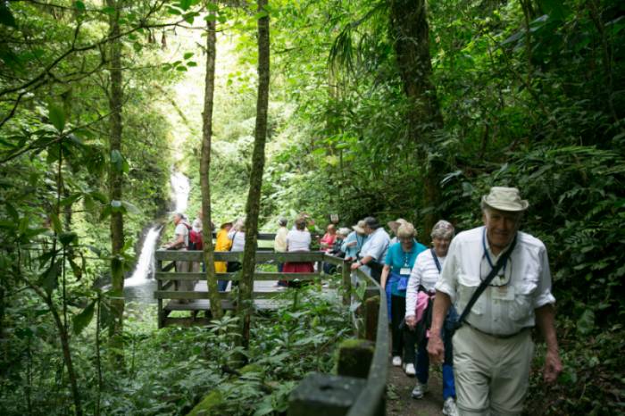 Walking tour through Costa Rican jungle