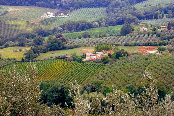 Tuscan countryside Tuscan countryside