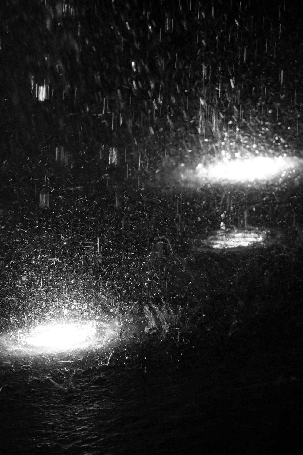 Photography by Emily J. Won