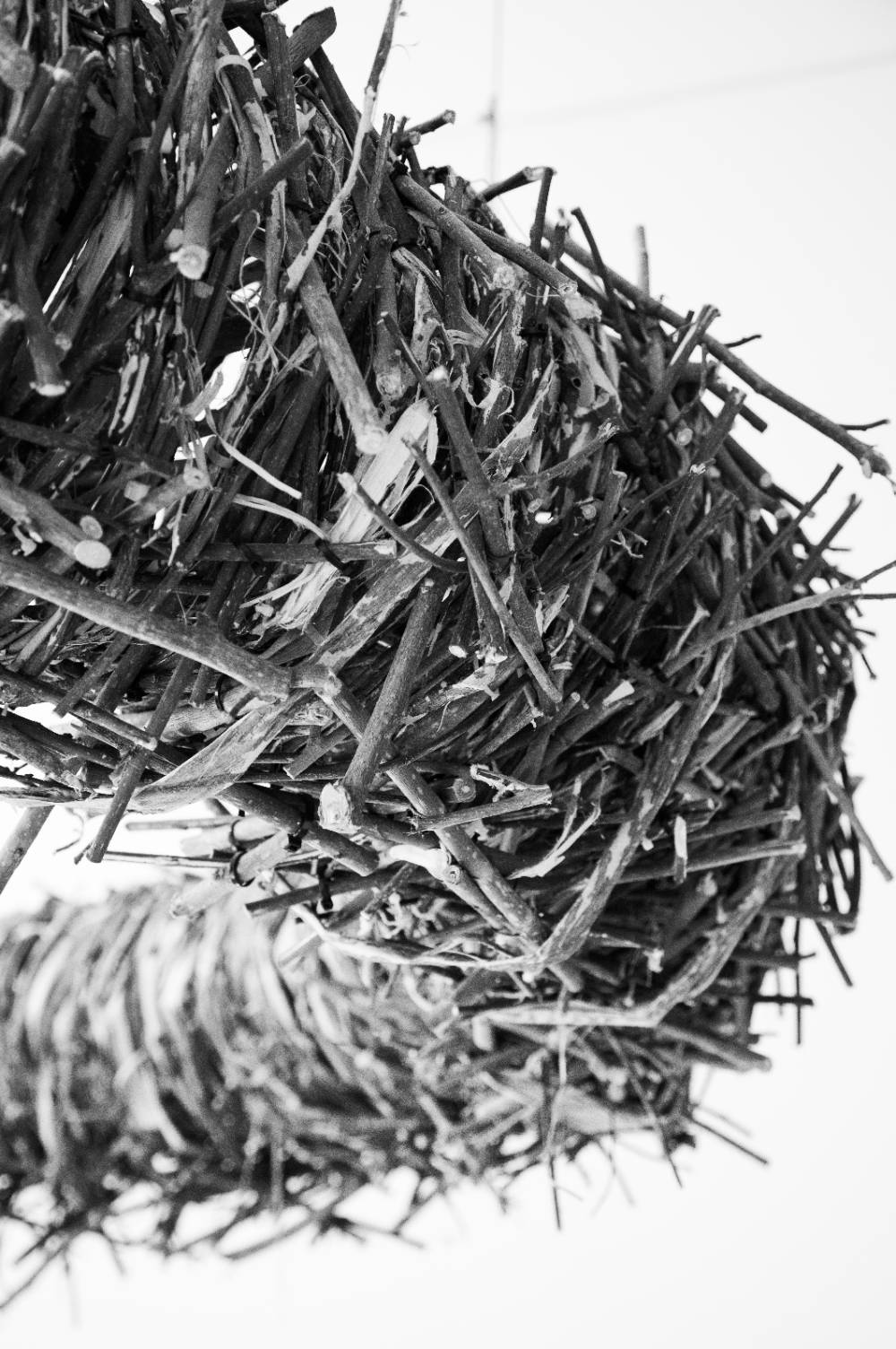 Black and White photo by Emily J. Won