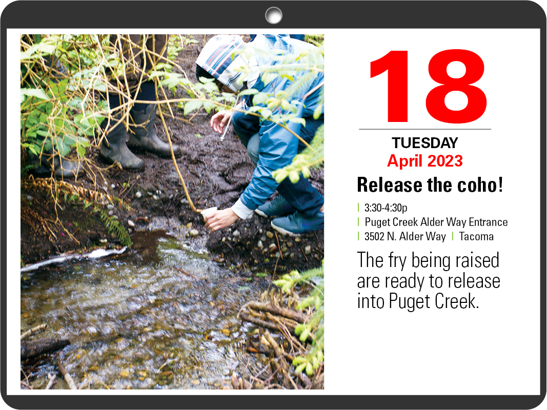 A calendar page with April 18, 3:30 - 4:30. Release the Coho! Puget Creek Alder Way Entrance, 3502 North Alder Way, Tacoma. 