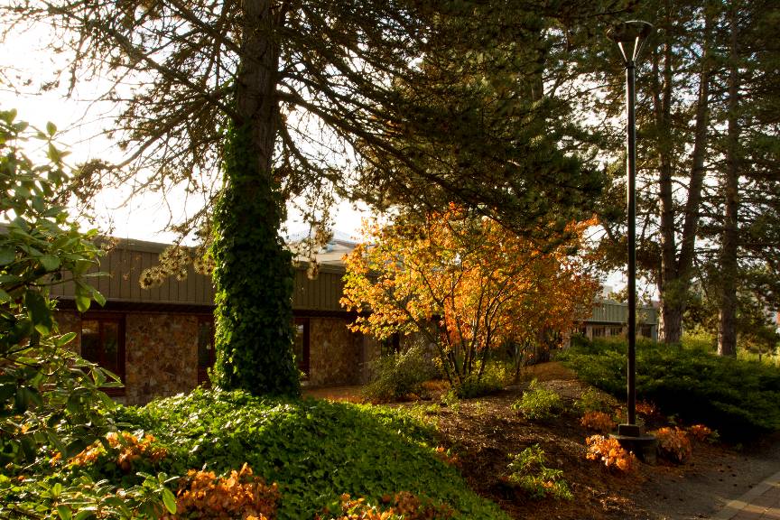 Art History Book Club to Resume In-Person Meetings in October