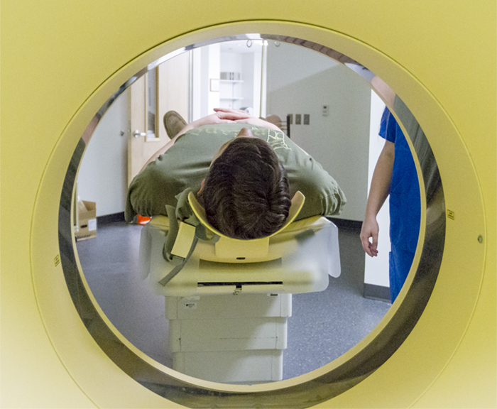 back of head seen through cat scan machine