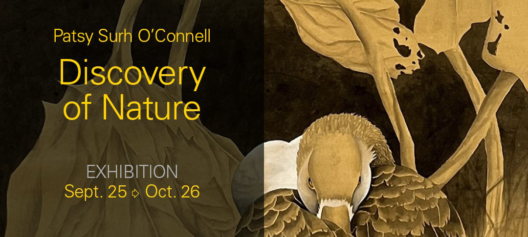 In The Gallery: Patsy Surh O'Connell's "Discovery of Nature" Exhibition