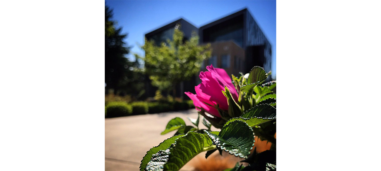 TCC Announces Summer Classes to be Held Online