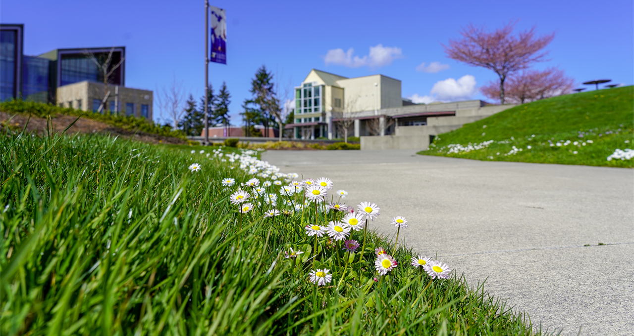  TCC Classes Will Continue to Be Online and Hybrid for Spring Quarter