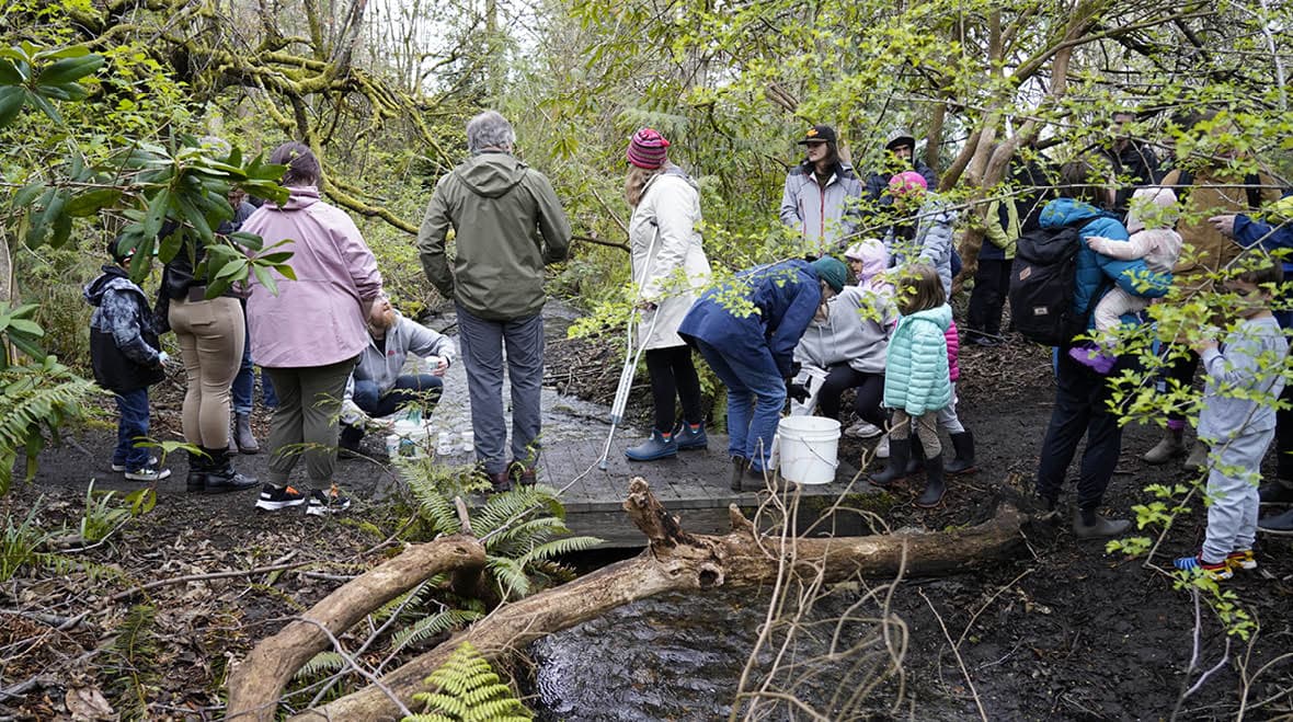 Earth day attendees releasing salmon.