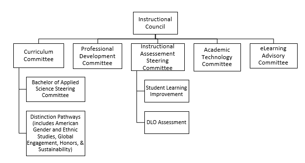 Instructional Council structure